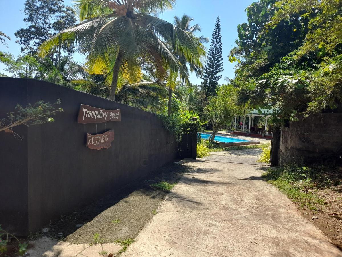 Tranquility Guest House ฮิกคาดูวา ภายนอก รูปภาพ