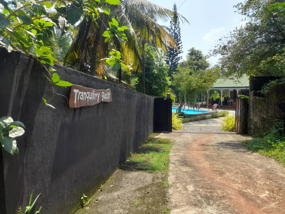 Tranquility Guest House ฮิกคาดูวา ภายนอก รูปภาพ