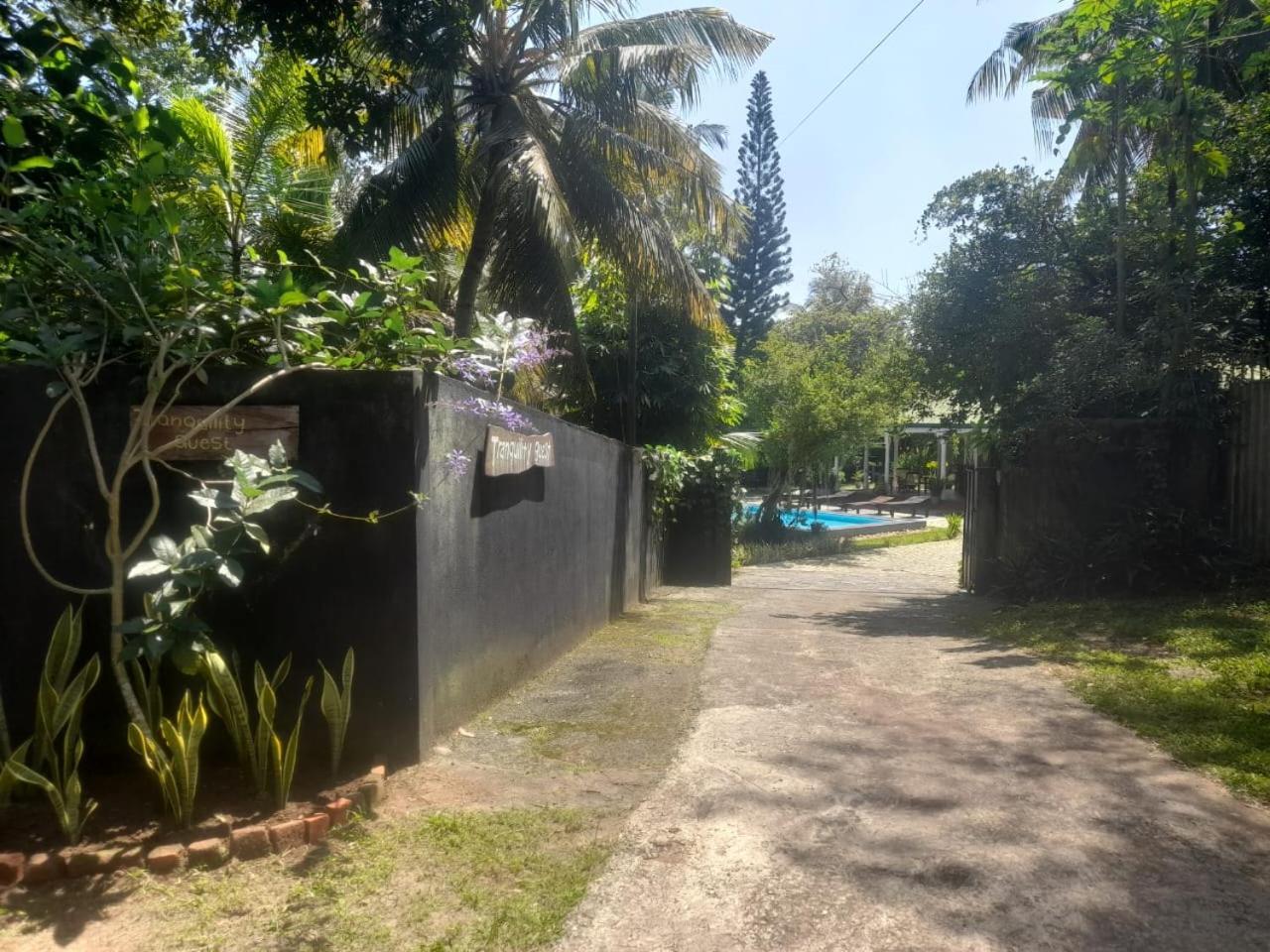 Tranquility Guest House ฮิกคาดูวา ภายนอก รูปภาพ