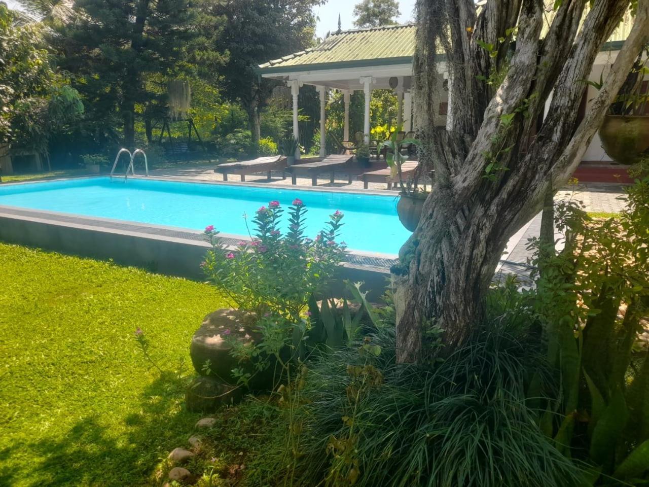 Tranquility Guest House ฮิกคาดูวา ภายนอก รูปภาพ