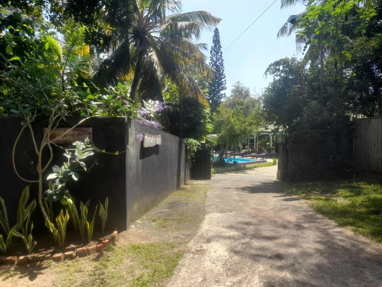 Tranquility Guest House ฮิกคาดูวา ภายนอก รูปภาพ