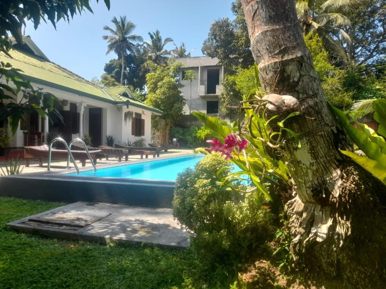 Tranquility Guest House ฮิกคาดูวา ภายนอก รูปภาพ