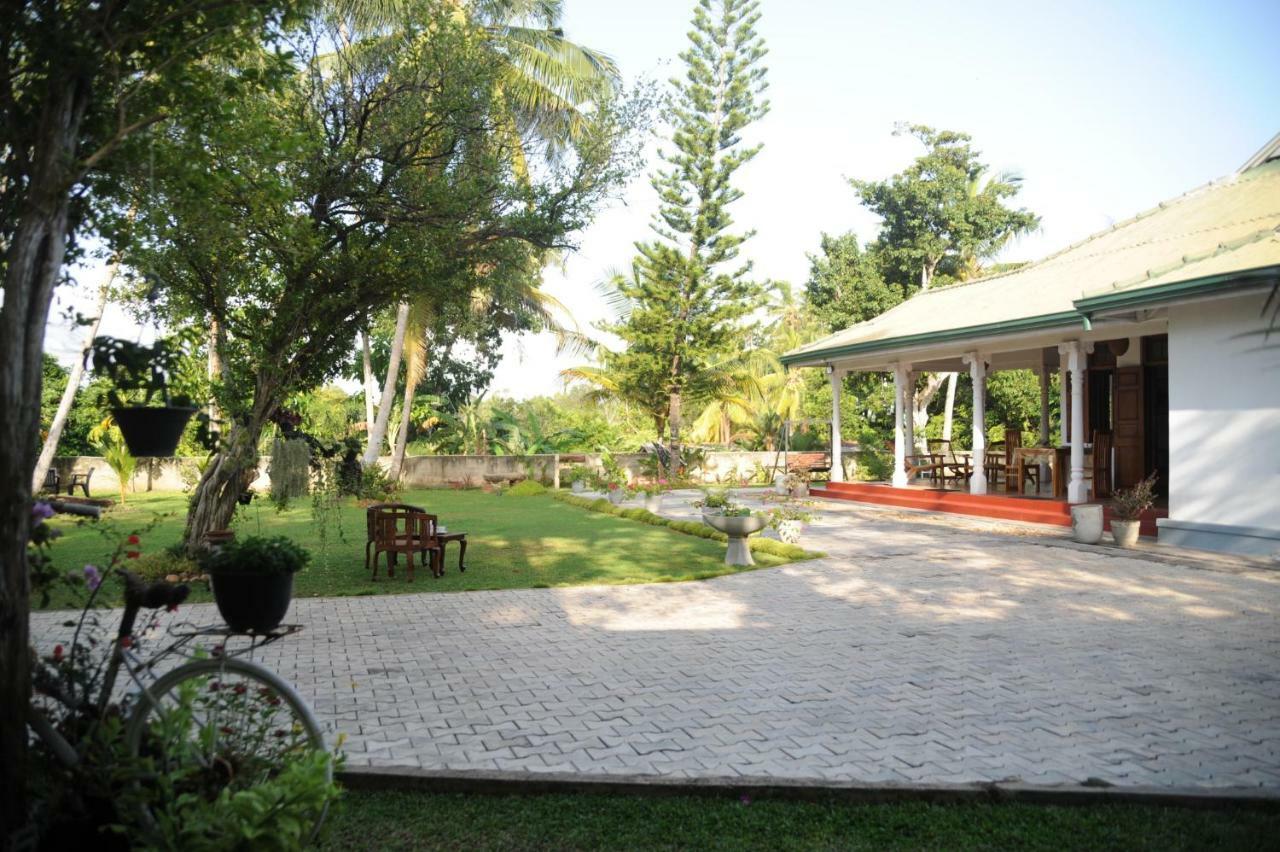 Tranquility Guest House ฮิกคาดูวา ภายนอก รูปภาพ