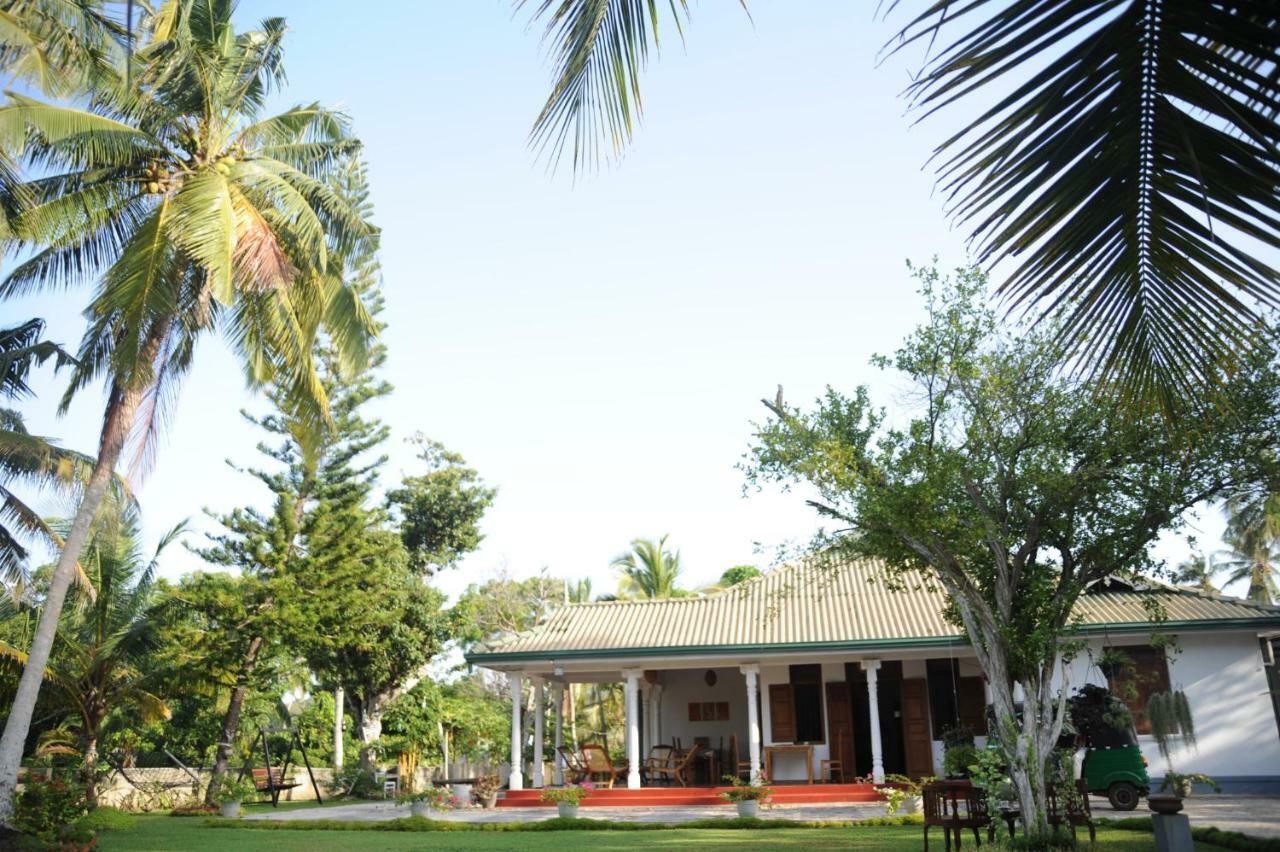 Tranquility Guest House ฮิกคาดูวา ภายนอก รูปภาพ