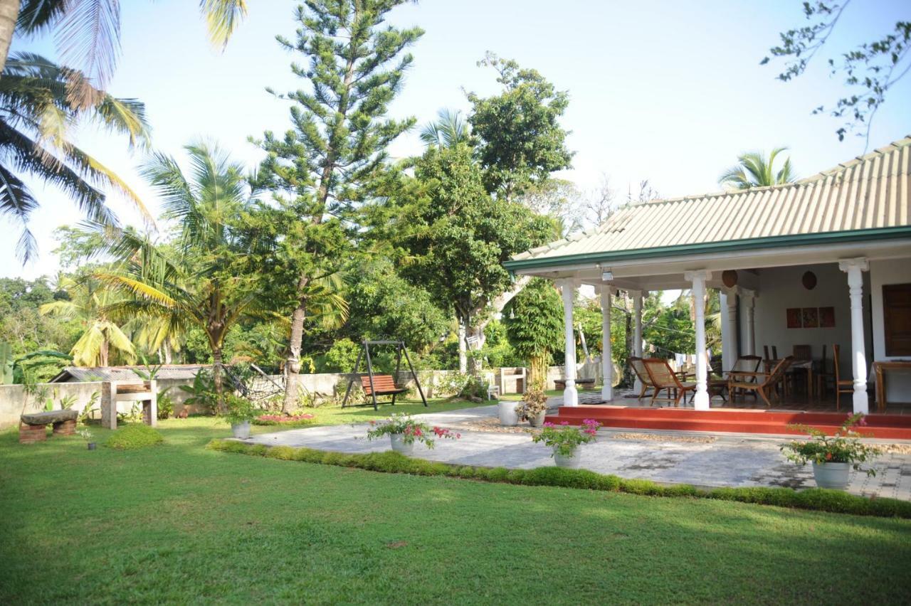 Tranquility Guest House ฮิกคาดูวา ภายนอก รูปภาพ