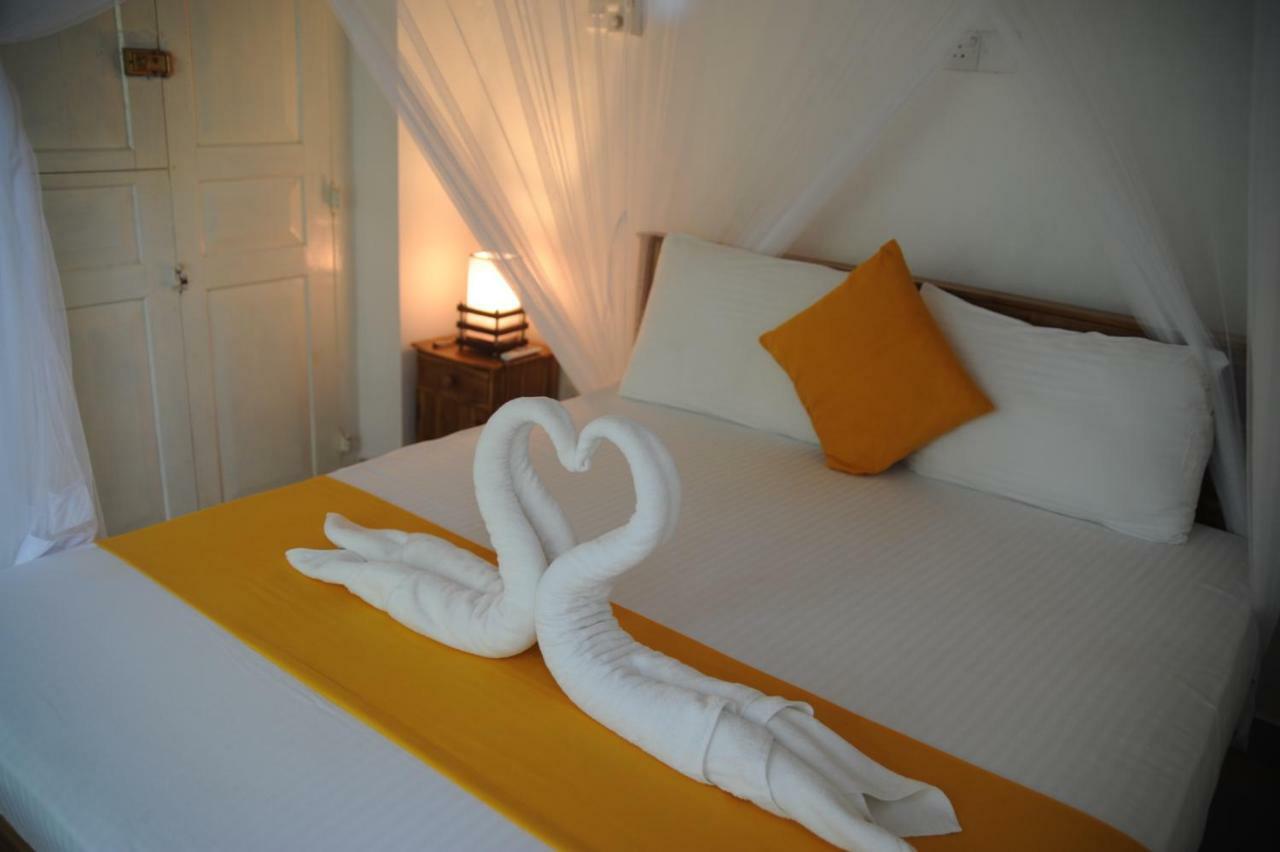 Tranquility Guest House ฮิกคาดูวา ภายนอก รูปภาพ