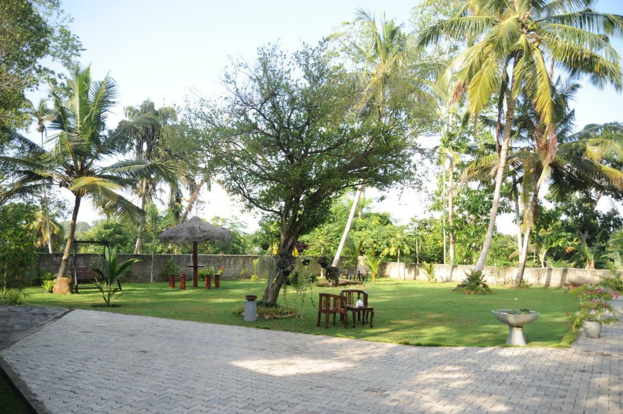 Tranquility Guest House ฮิกคาดูวา ภายนอก รูปภาพ